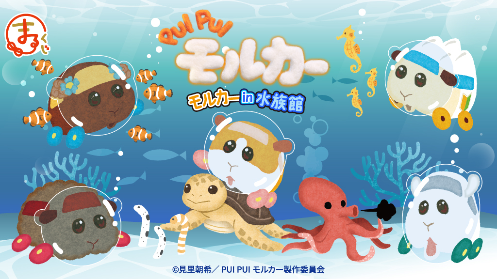 PUI PUI モルカー』モルカーin水族館 オンラインくじ「まるくじ」にて